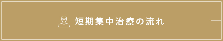 短期集中治療の流れ