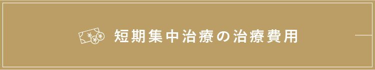 短期集中治療の治療費用