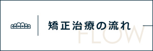 矯正治療の流れ