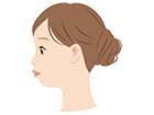 口ゴボ 口元が前に出ている